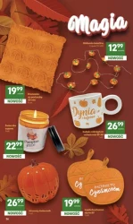 Najlepsze oferty tego tygodnia - Delikatesy Centrum