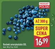 Borówki amerykańskie Polski