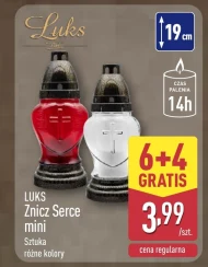 Znicz Luks