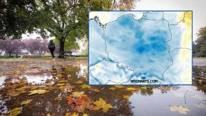 Tydzień nie zaczął się najlepiej. Poniedziałek lepiej spędzić w domu