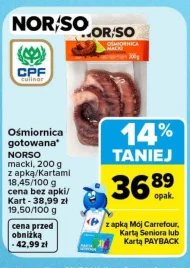 Ośmiornica Norso