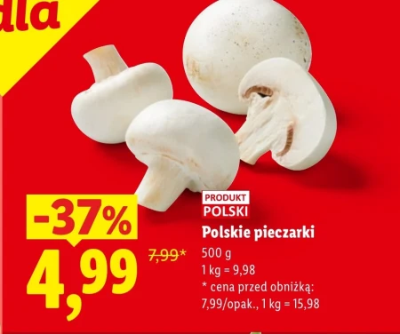 Гриби