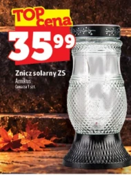 Znicz Amikus