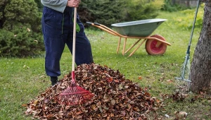 Liście lecą, a czasu coraz mniej. Te prace w ogrodzie trzeba zrobić teraz