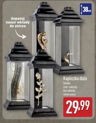 Znicz