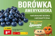 Borówka amerykańska