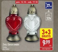 Znicz