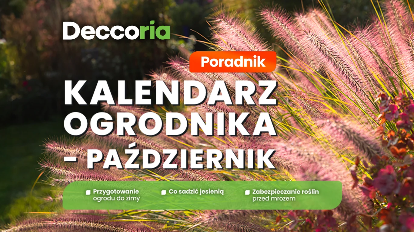 Kalendarz ogrodnika - październik