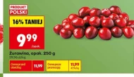 Żurawina Polski