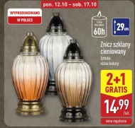 Znicz