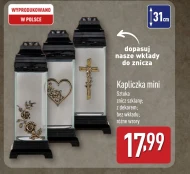 Znicz