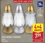 Znicz