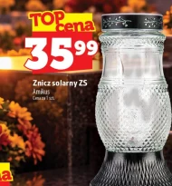 Znicz Amikus