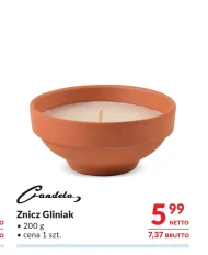 Znicz Netto