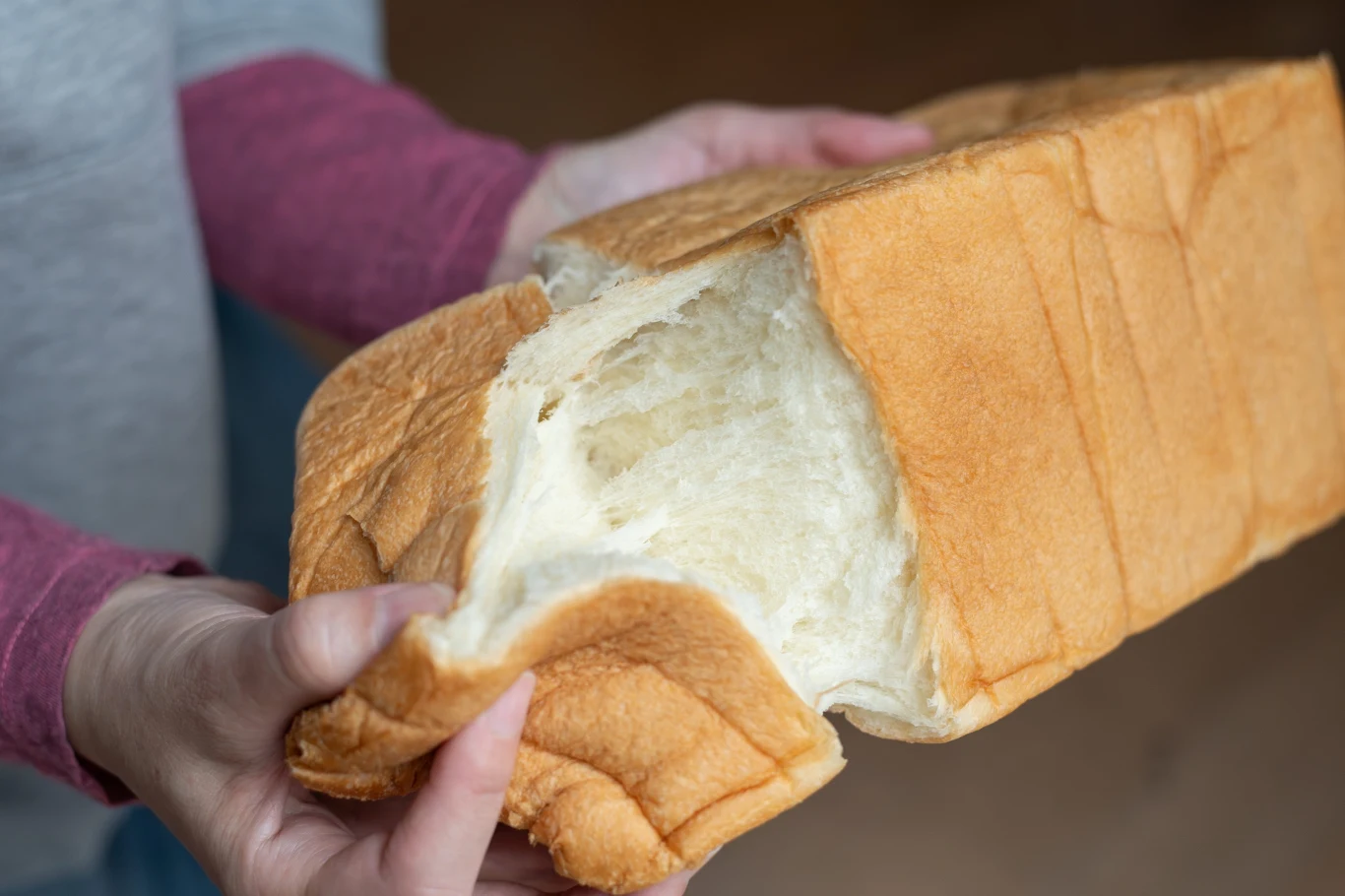 Ciasto drożdżowe metodą yudane. Pozostaje miękkie i sprężyste przez dłuższy czas Bochenek drożdżowego chleba yudane z puszystym wnętrzem, trzymany w dłoniach, z oderwanym kawałkiem.