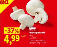 Гриби