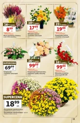 Świeże produkty - Auchan Hipermarket