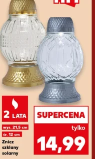 Znicz