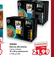 Karma dla kota Sheba
