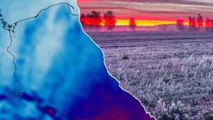 W najbliższym czasie nocne przymrozki w Polsce będą się powtarzać. Pod koniec przyszłego tygodnia mogą być jeszcze silniejsze