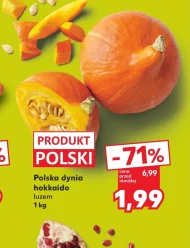 Dynia Polski