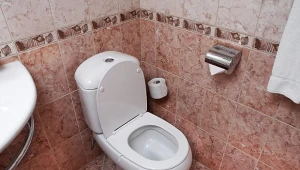 Dlaczego deska sedesowa powinna być spuszczona podczas spłukiwania?