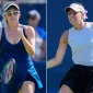 Neel / Olmos