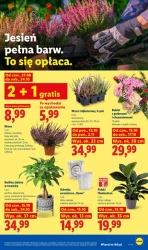 Weekend pełen okazji - Lidl