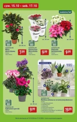 Weekend z cenami na plus - Aldi
