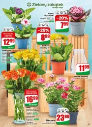 Promocje blisko Ciebie - Dino