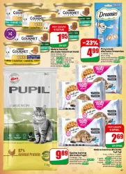 Promocje blisko Ciebie - Dino