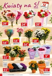Smaczne okazje na każdy dzień - Twój Market