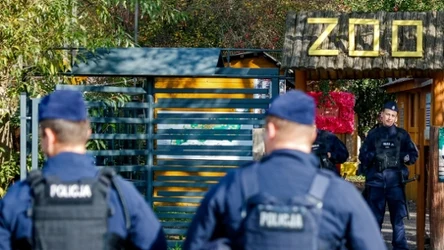  Część zwierząt opuściła ogród zoologiczny, a pięć osób zostało zatrzymanych. Właściciele zoo mówią o łamaniu prawa
