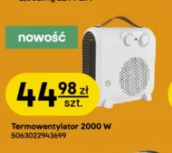 Termowentylator