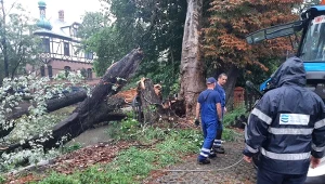Interwencja w związku z wiatrołomami nad Kłodnica w Gliwicach