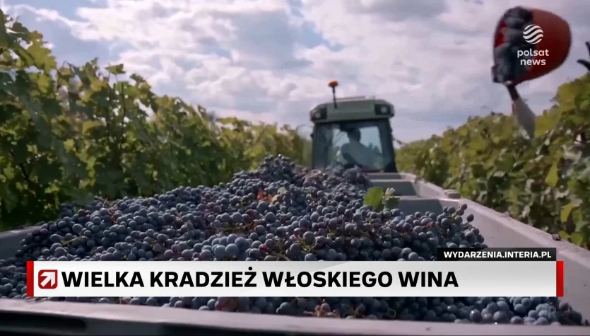 Wielka kradzież włoskiego wina