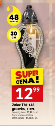 Znicz