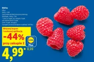 Maliny Plus-Plus
