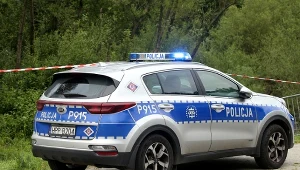 Policjanci udaremnili ucieczkę nietrzeźwej z miejsca zdarzenia. Zdj. ilustracyjne.