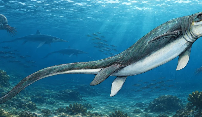 Omfalozaur pływał w oceanach w epoce triasu