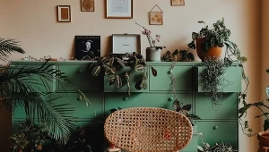 Kolor Webster Green będzie według marki Benjamin Moore kolorem 2027 roku