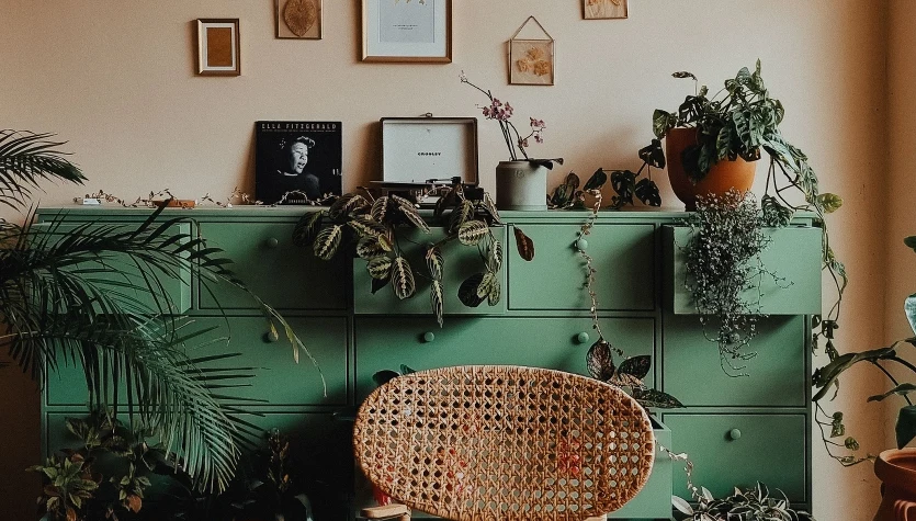 Kolor Webster Green będzie według marki Benjamin Moore kolorem 2027 roku