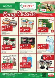 Koszyk pełen promocji - Delikatesy CEZAR