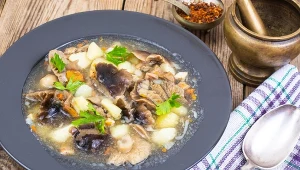 Zalewajka z pecłonkami to najlepszy smak jesieni. Na grzybobraniu warto szukać ich w piasku i obok sosen