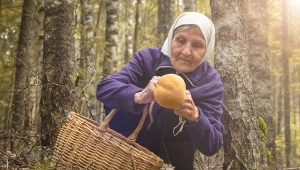 Czy jesień może przepowiedzieć zimę? Dawne przysłowia zdradzają, w co wierzyli nasi przodkowie