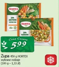 Zupa mrożona Hortex