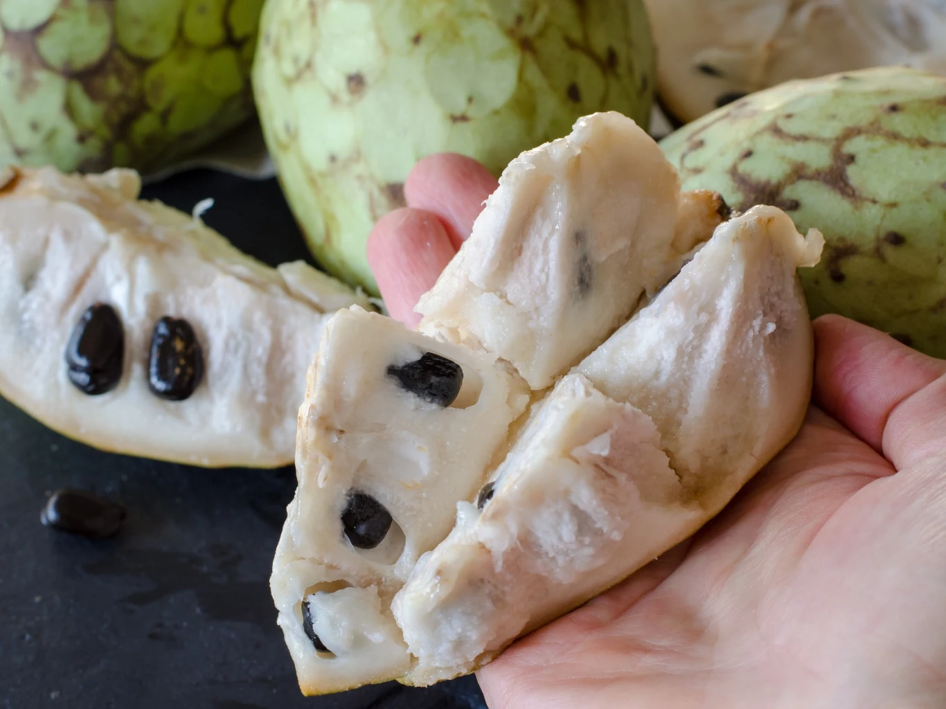 Jak jeść cherimoyę? Uważaj na pestki Ręka trzyma miąższ cherimoya z czarnymi pestkami, w tle kilka całych owoców cherimoya.