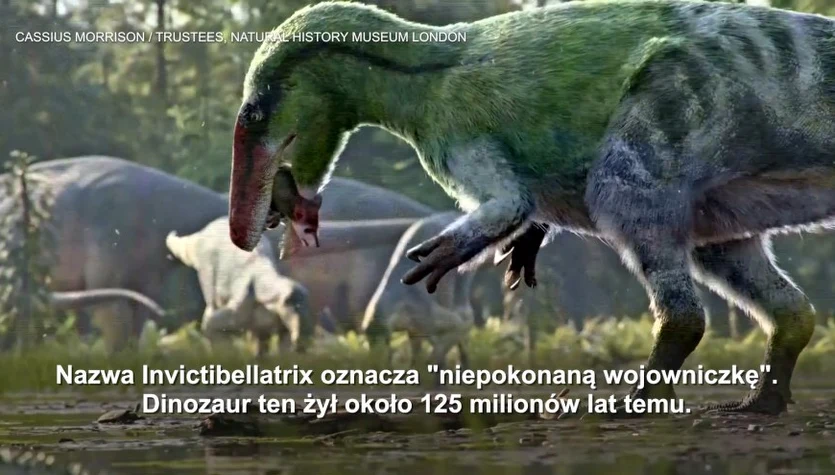 Poznano nowy gatunek dinozaura. Krewny tyranozaura był szybki i zwinny