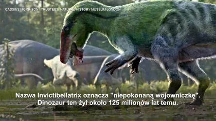 Poznano nowy gatunek dinozaura. Krewny tyranozaura był szybki i zwinny