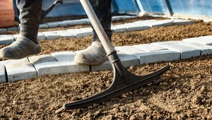 Jak odkazić glebę w tunelu po pomidorach? 